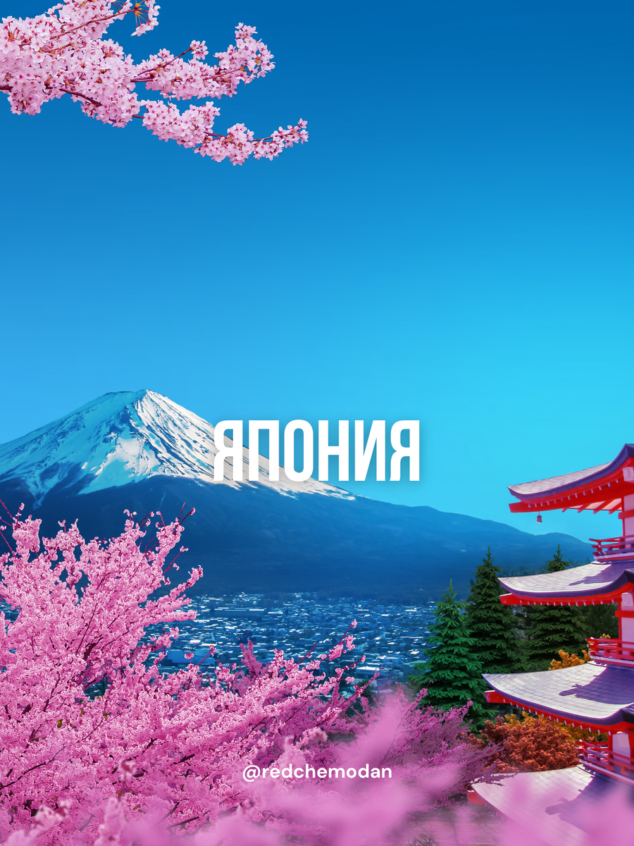 Турагентство «Красный чемодан»